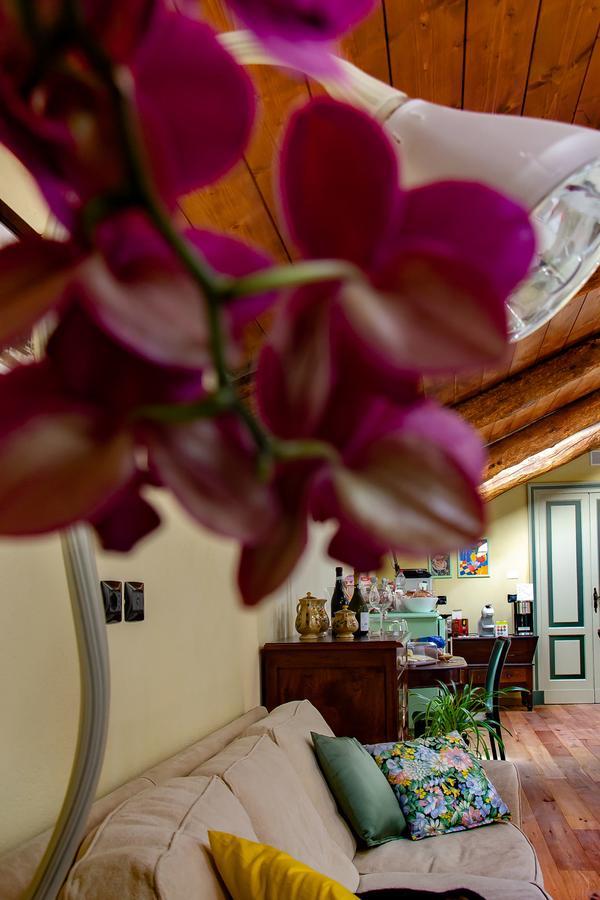 Bed and Breakfast Ca D'I. Magliano Alfieri Zewnętrze zdjęcie